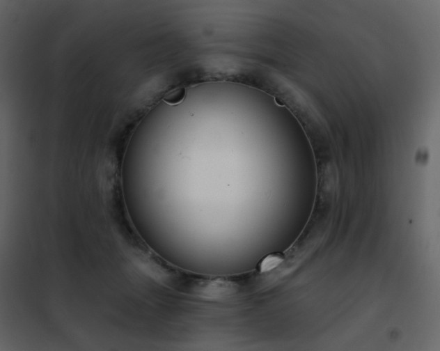 X0000102530463200808081456