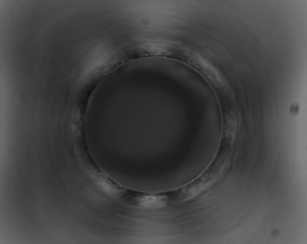 X0000102530465200808081456