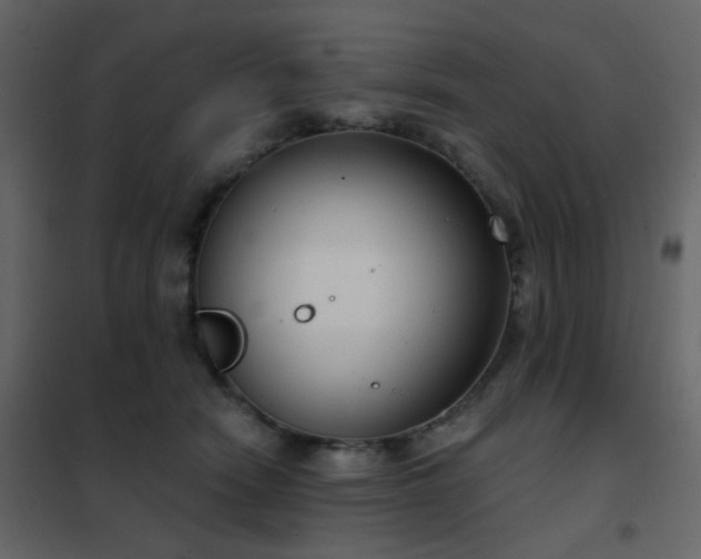 X0000102530466200808081456