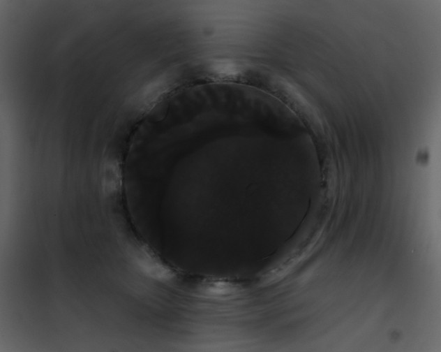 X0000102530467200808081456