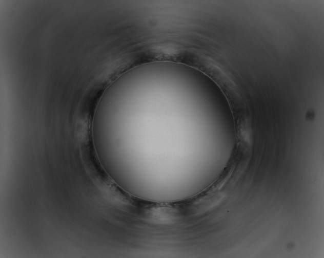 X0000102530468200808081456