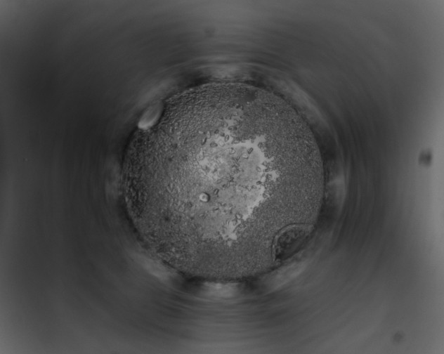 X0000102530469200808081456