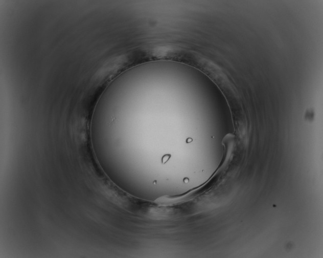 X0000102530470200808081456