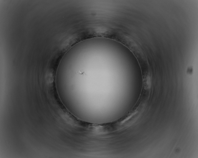 X0000102530472200808081456