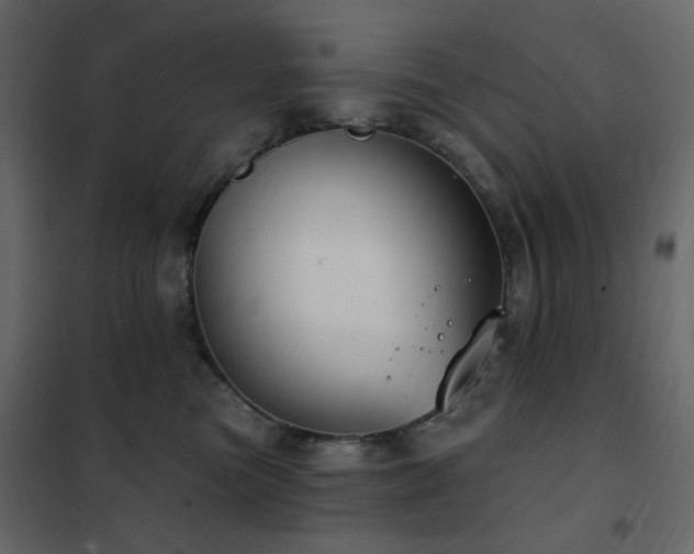X0000102530473200808081456
