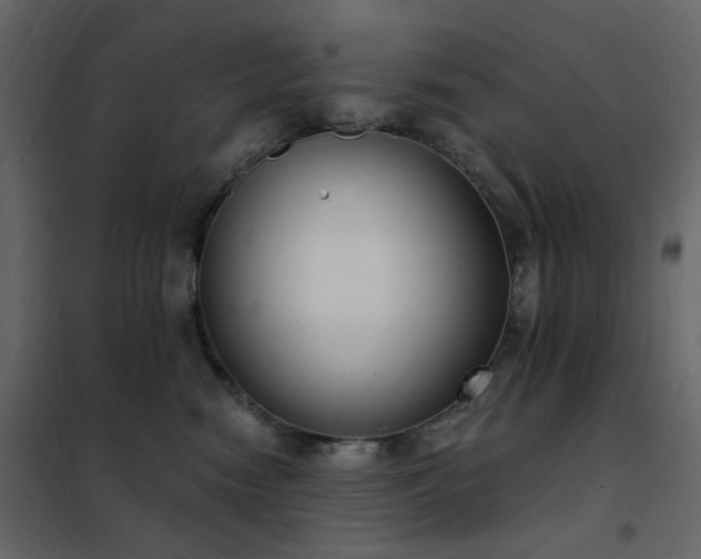 X0000102530474200808081456