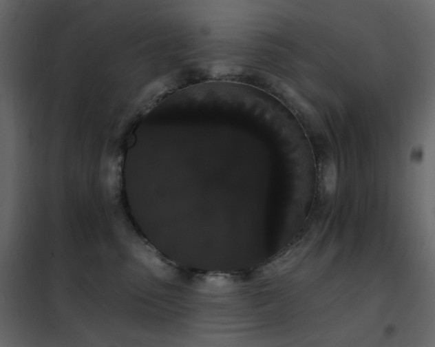 X0000102530475200808081456