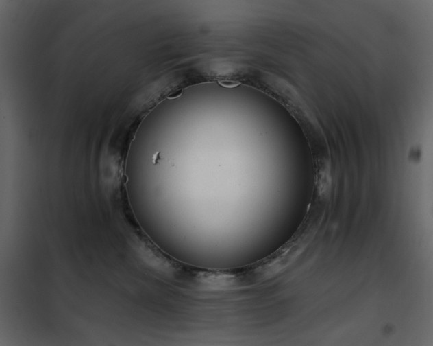 X0000102530476200808081456