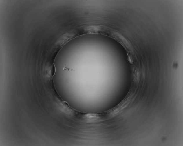 X0000102530477200808081456