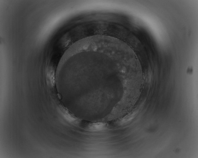 X0000102530479200808081456
