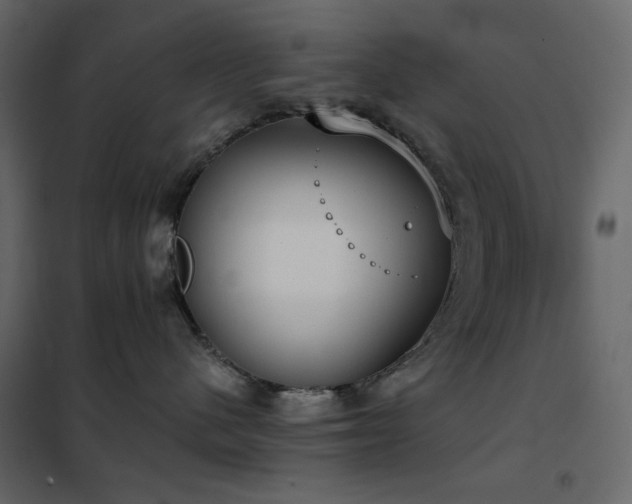 X0000102530480200808081456