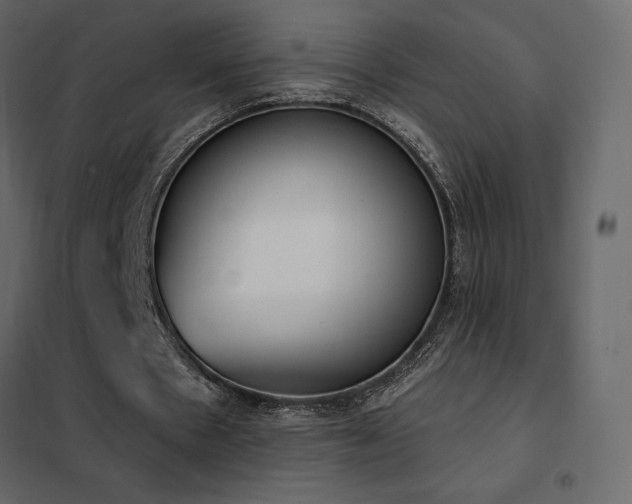 X0000102530481200808081455