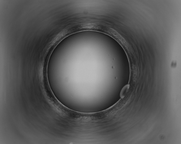 X0000102530482200808081455