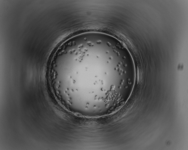X0000102530483200808081455