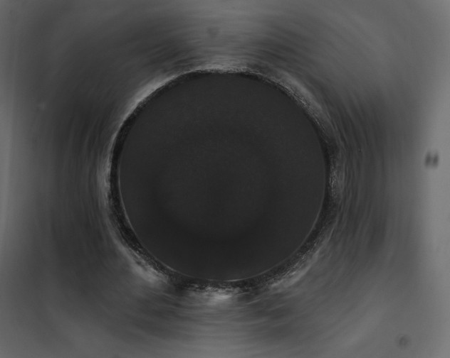 X0000102530484200808081455
