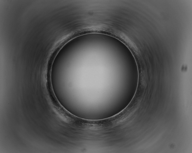 X0000102530486200808081455