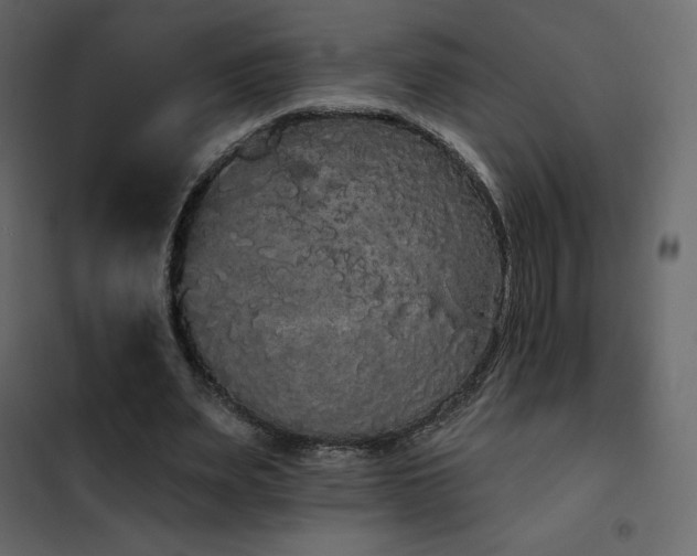 X0000102530487200808081455