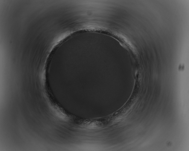 X0000102530488200808081455