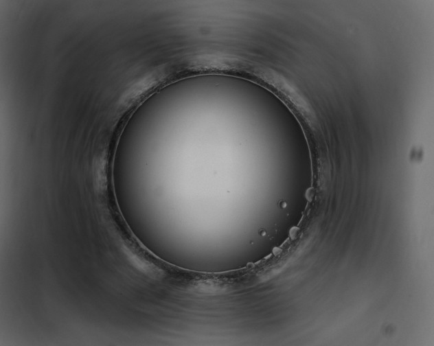 X0000102530489200808081455