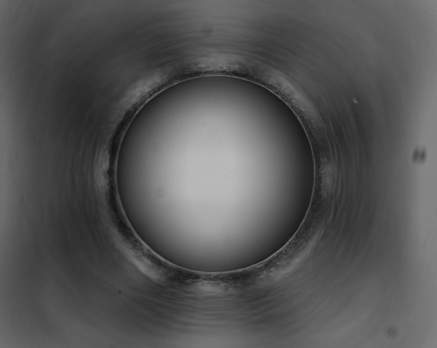 X0000102530490200808081455