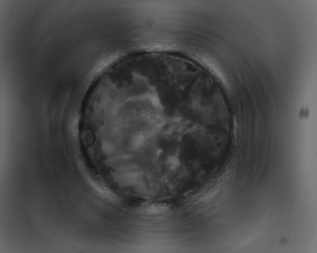 X0000102530491200808081455