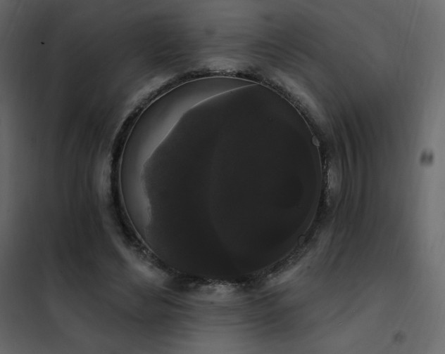 X0000102530492200808081455