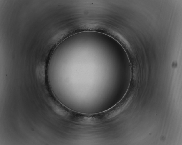 X0000102530493200808081455