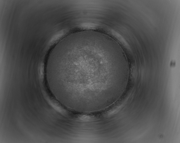 X0000102530494200808081455
