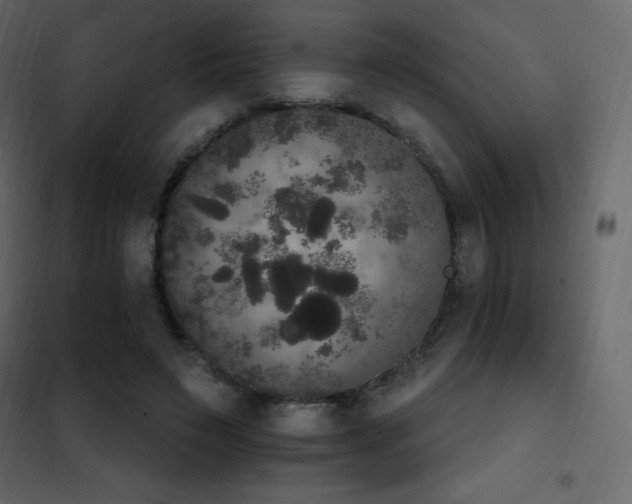 X0000102530495200808081455