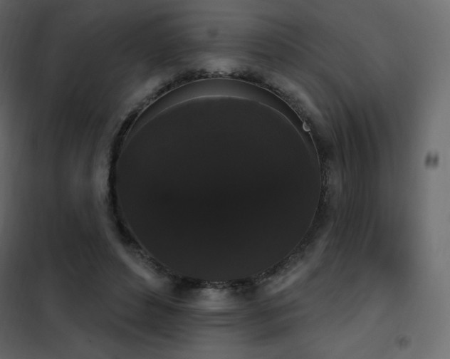 X0000102530496200808081455