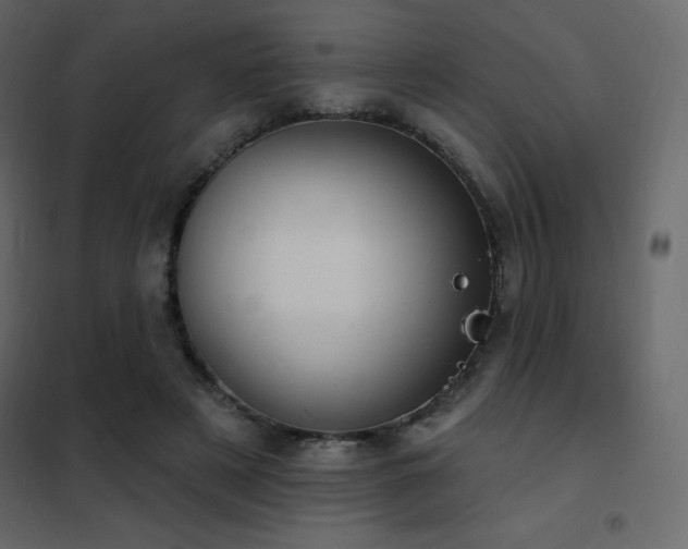 X0000102530497200808081455