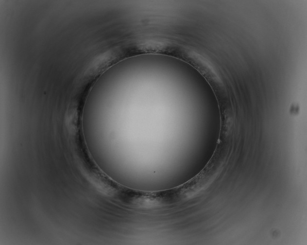 X0000102530498200808081455