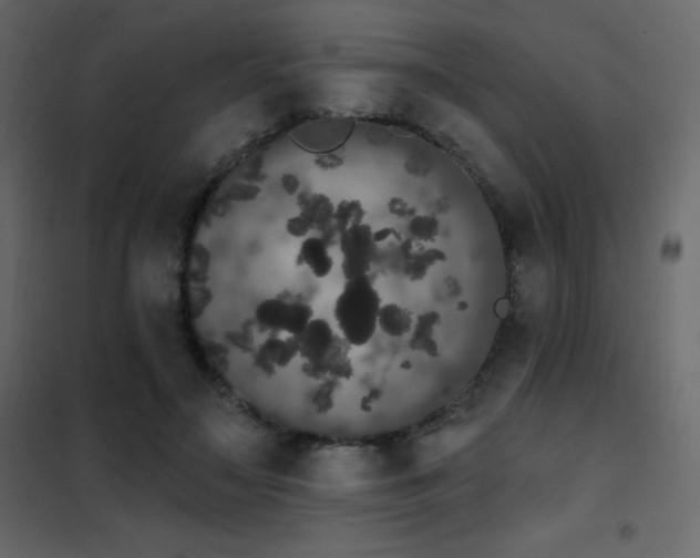 X0000102530499200808081455