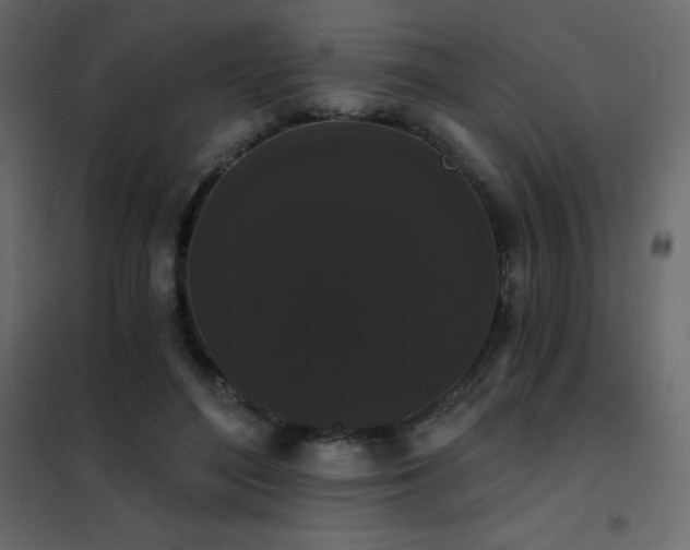 X0000102530500200808081455