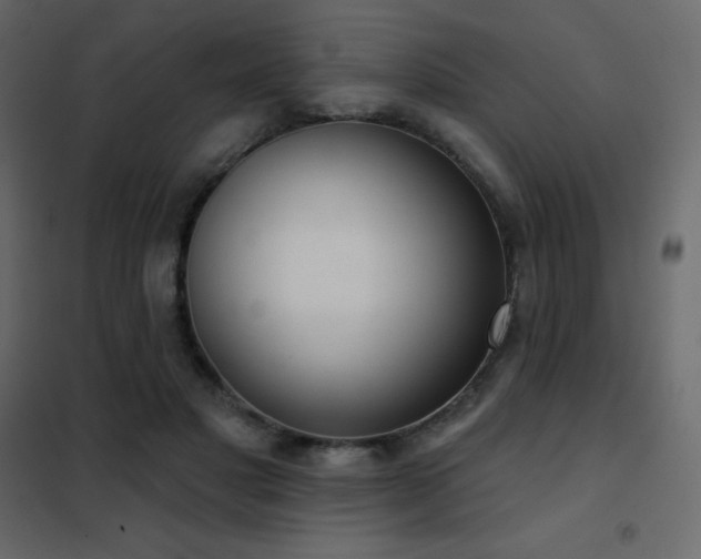 X0000102530501200808081455