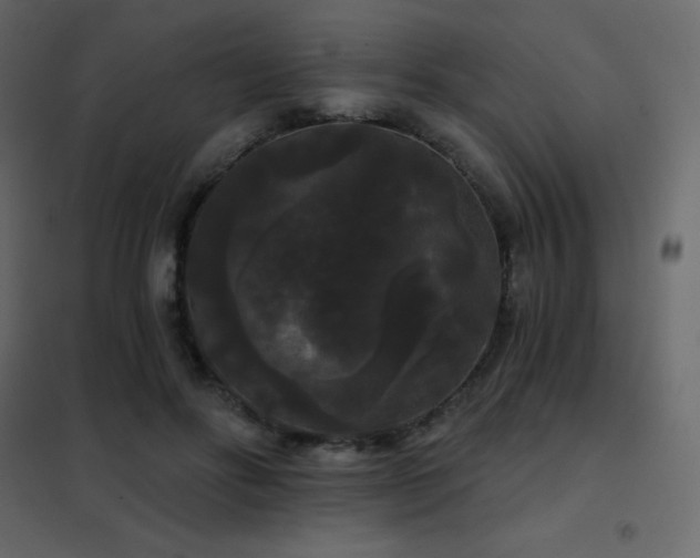 X0000102530502200808081455