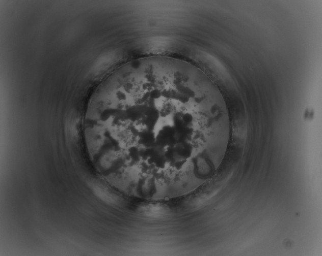 X0000102530503200808081455