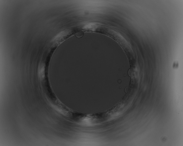 X0000102530504200808081455
