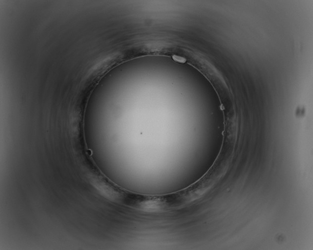 X0000102530505200808081455