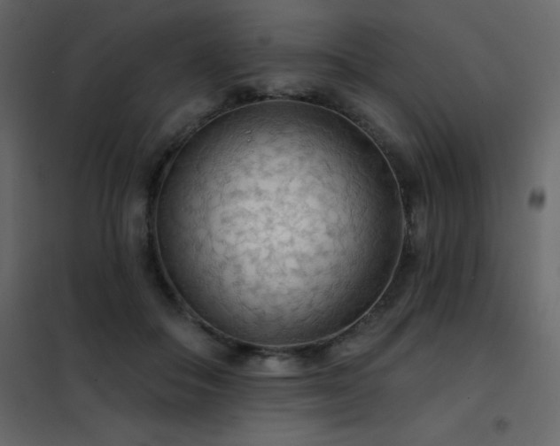 X0000102530506200808081455