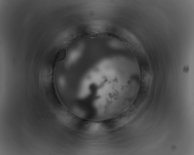 X0000102530507200808081455