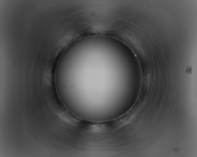 X0000102530508200808081455
