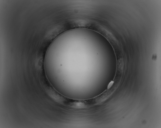 X0000102530509200808081455