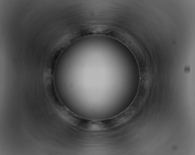 X0000102530510200808081455