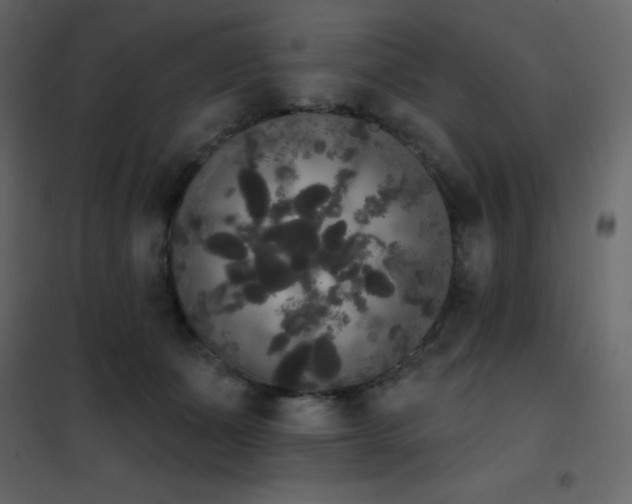 X0000102530511200808081455