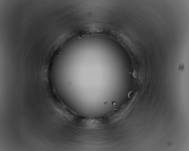 X0000102530512200808081455