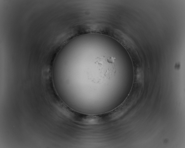 X0000102530514200808081455