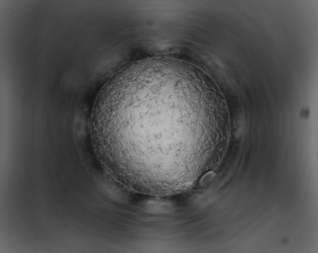X0000102530515200808081455