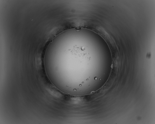 X0000102530516200808081455