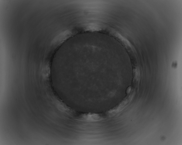 X0000102530517200808081455